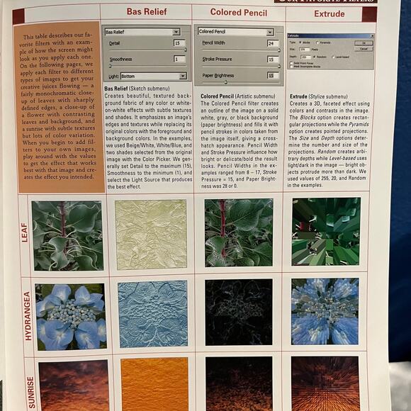 Piecing With Pixels: Unique Quilts from Your Own Images Book by Sandra Hart - Picture 5 of 6